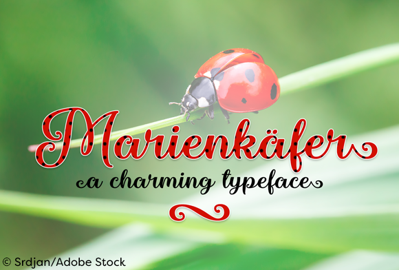 Marienkaefer: The Elegant Script Handwritten Typeface for Editorial Design
